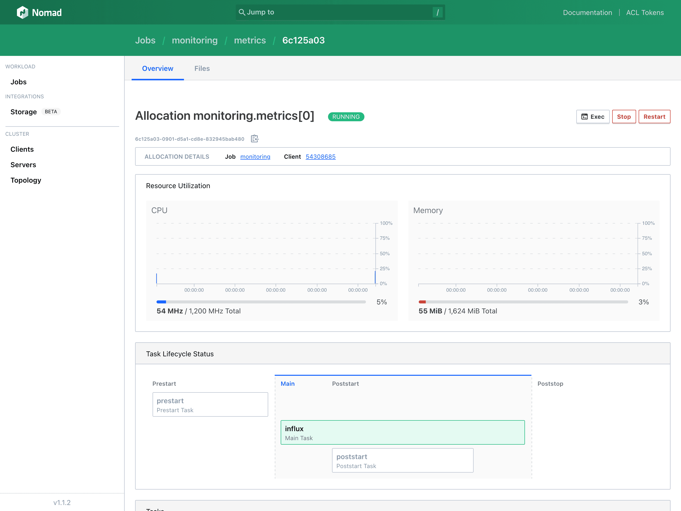 Nomad allocation detail page for running "metrics" allocation